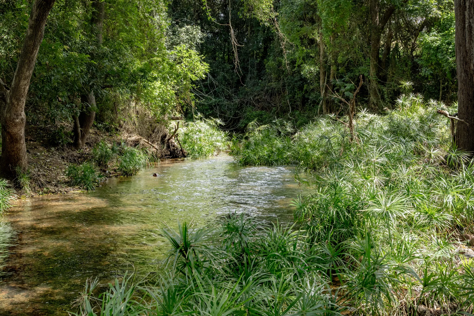 Additional image 6 of 287A Marys Creek Road, Marys Creek QLD 4570