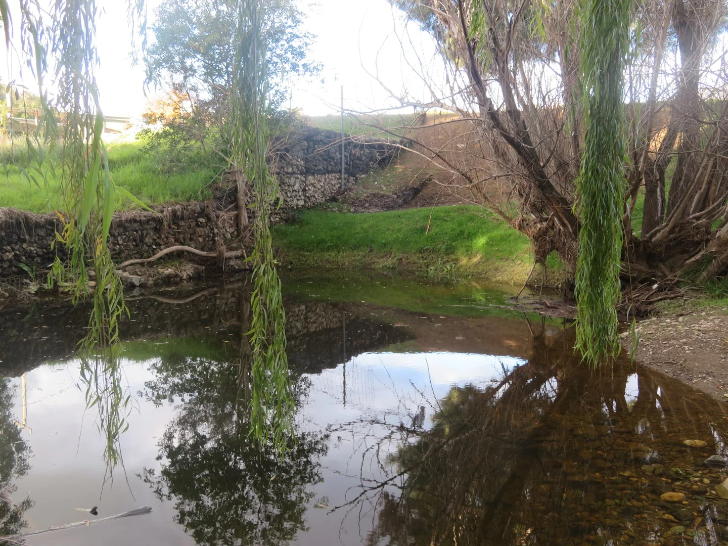 Additional image 15 of 166 Punch Street, Gundagai NSW 2722