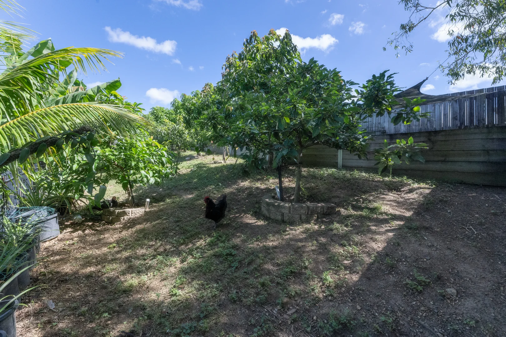 Additional image 21 of 63 Caroval Drive, Rural View QLD 4740