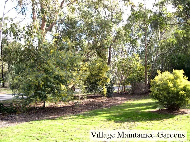 Additional image 10 of 56 Francis Street, Spring Gully VIC 3550