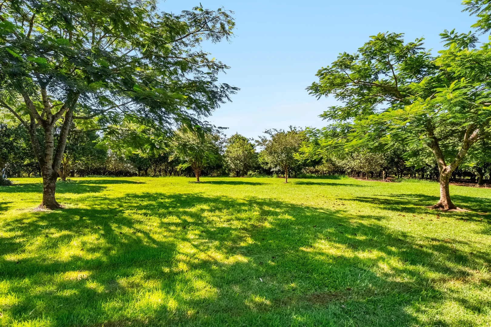 Additional image 12 of 250 Dalwood Road, Dalwood NSW 2477