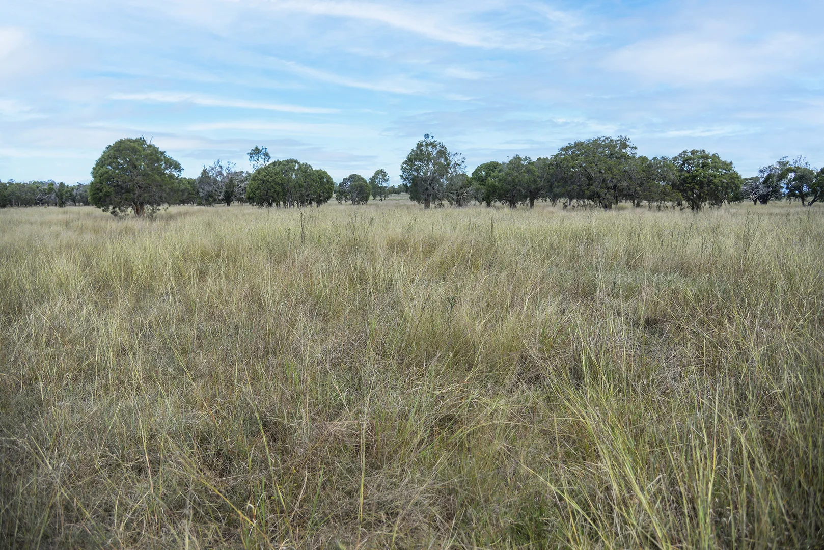 Additional image 18 of 480-510 Rosewood-Warrill View Road, Rosewood QLD 4340