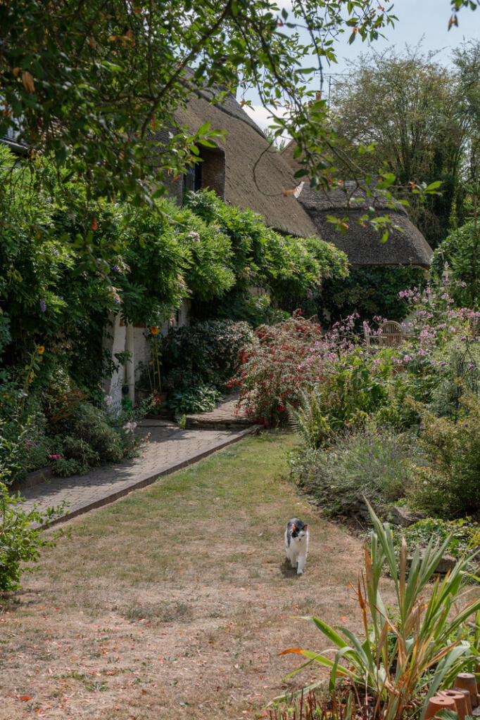 Additional image 30 of Grass Hill, Hardington Mandeville, Somerset
