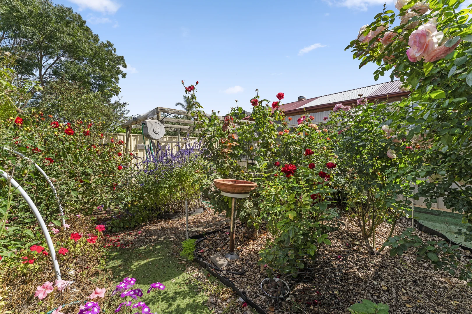 Additional image 22 of 48A Trevor Street, Murray Bridge SA 5253