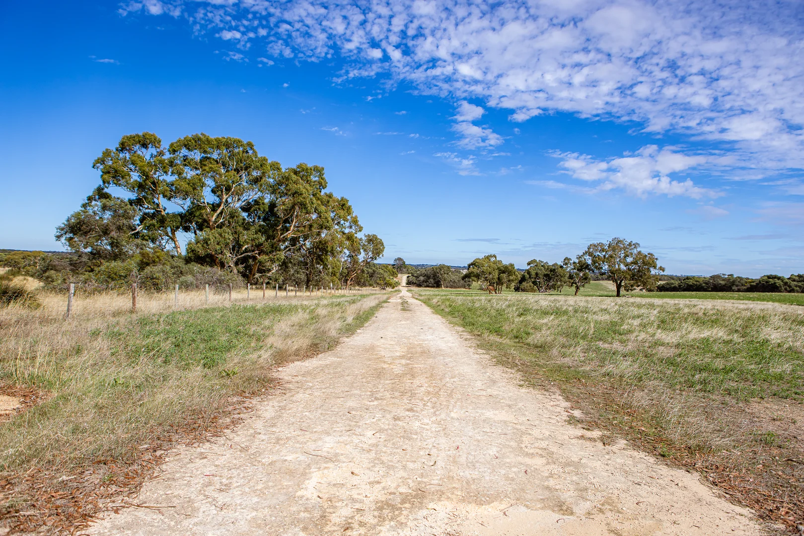 Additional image 3 of 1089 Pedericks Road, Lochaber SA 5271