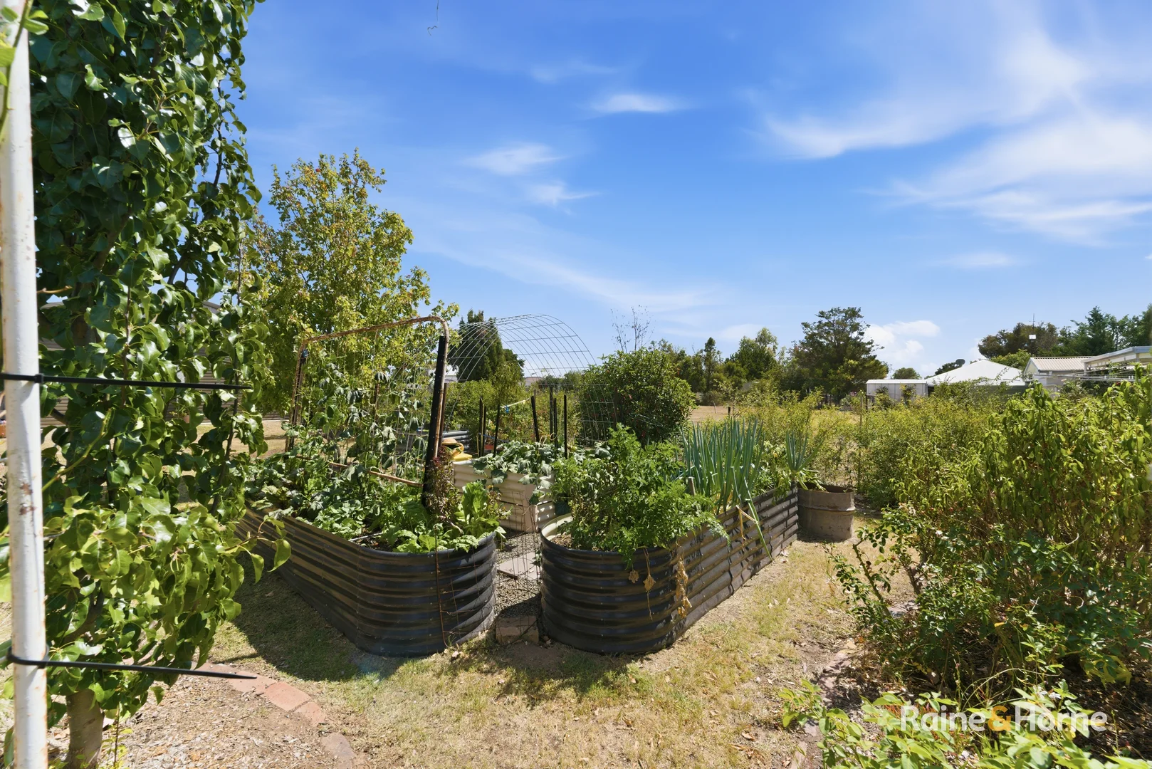 Additional image 9 of 8 Simpson Street, Deepwater NSW 2371