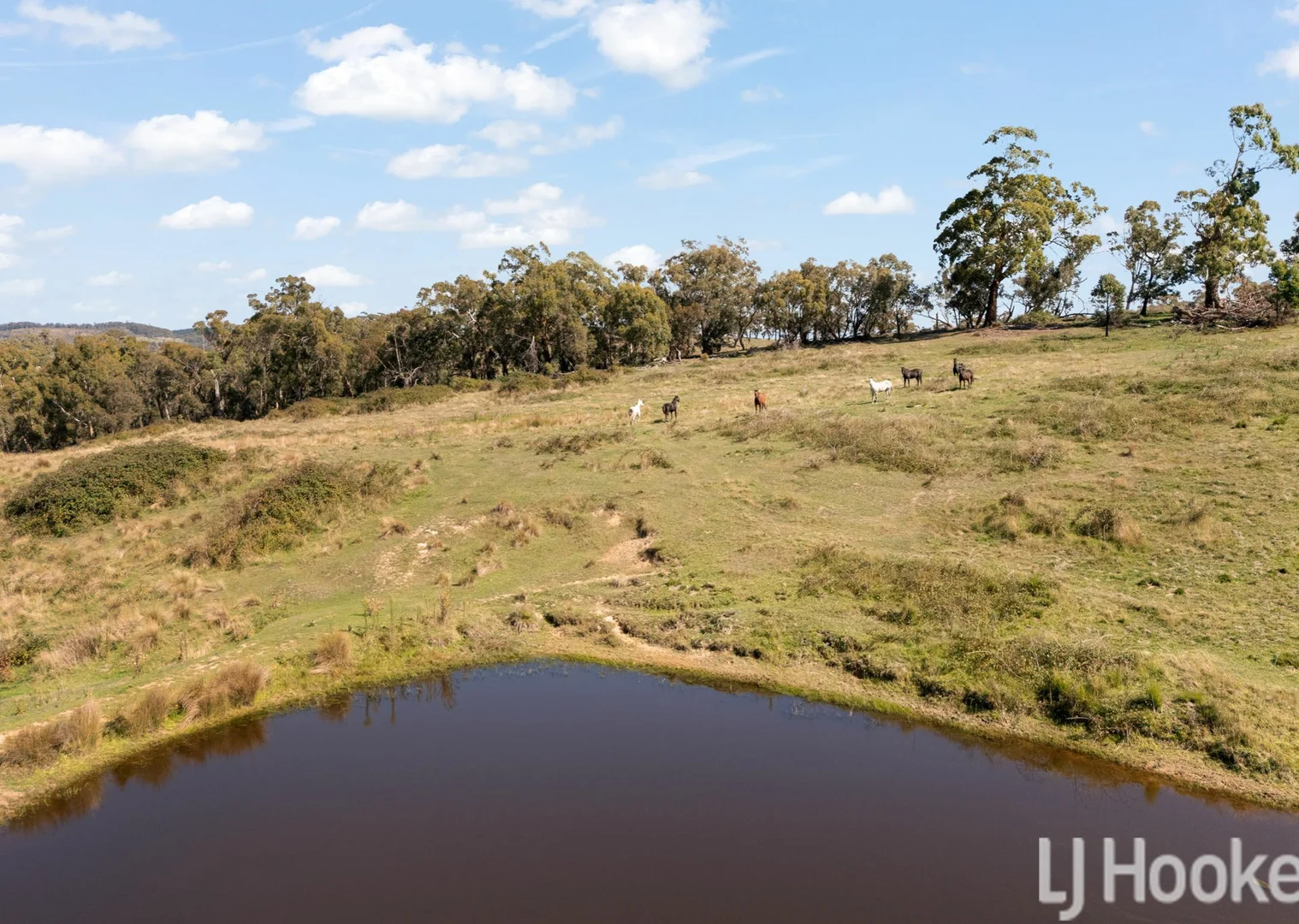 Additional image 4 of Meadow Flat NSW 2795