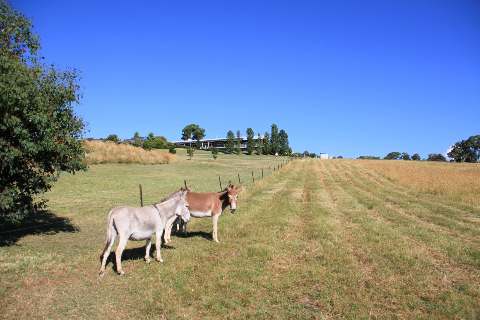 Additional image 24 of 187 Mccormacks Road, Merrijig VIC 3723