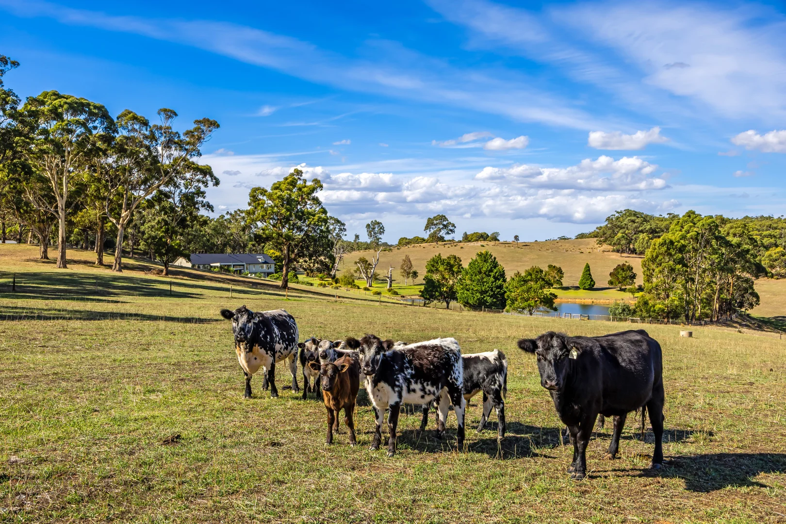 Additional image 29 of 444 Hawthorn Road, Echunga SA 5153