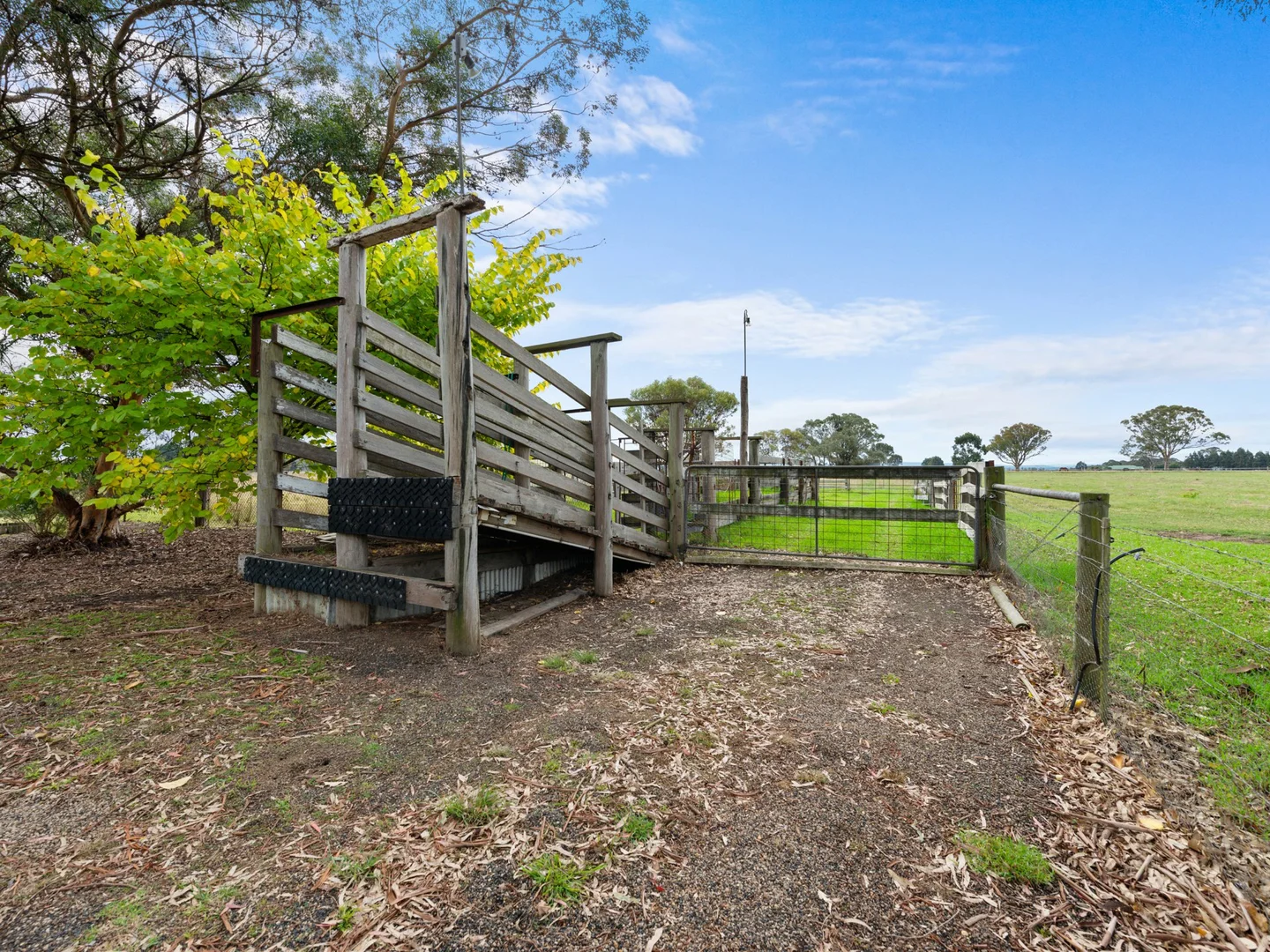 Additional image 22 of 885 Forge Creek Road, Forge Creek VIC 3875