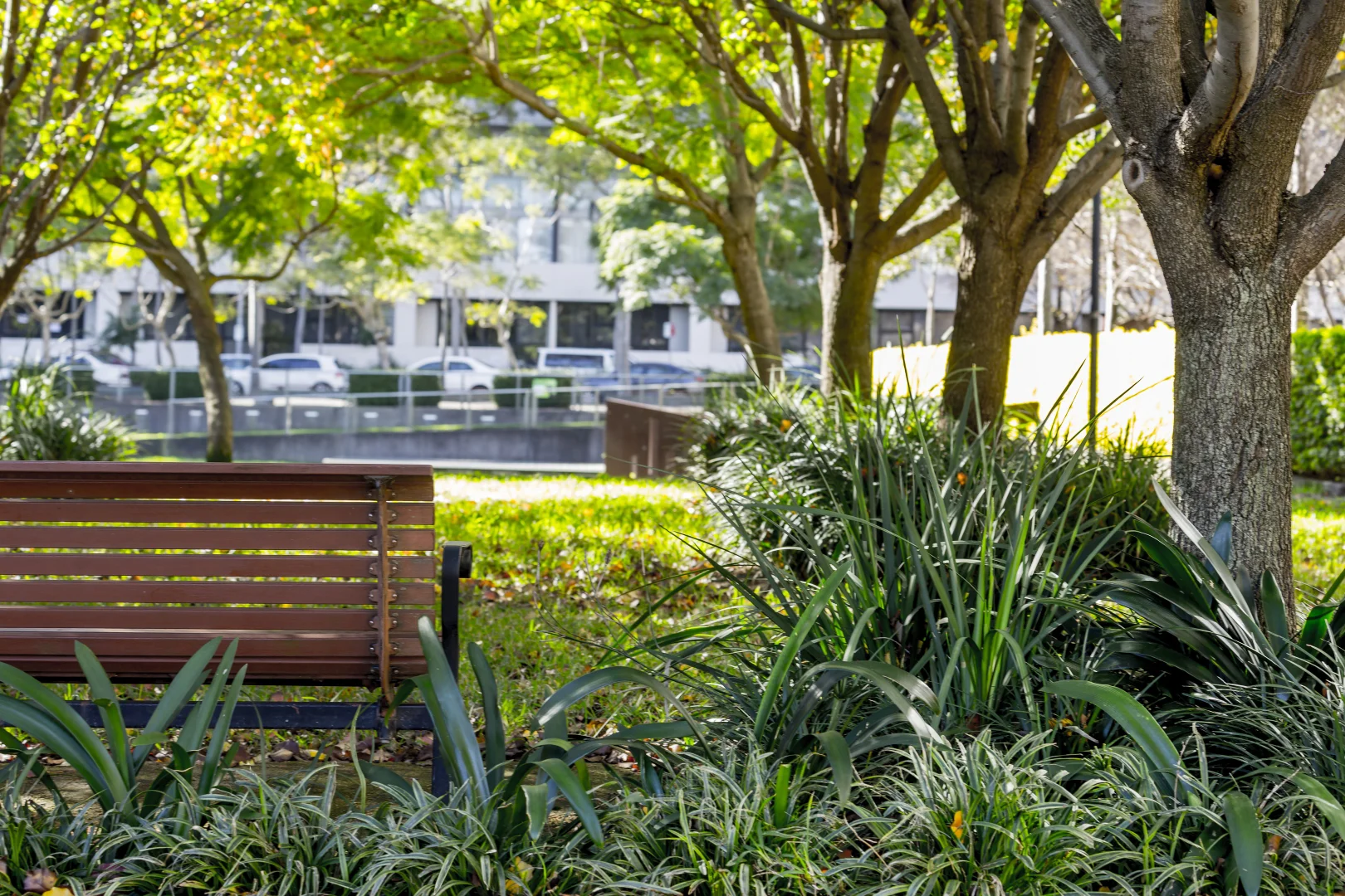 Additional image 11 of 146/6c Defries Avenue, Zetland NSW 2017