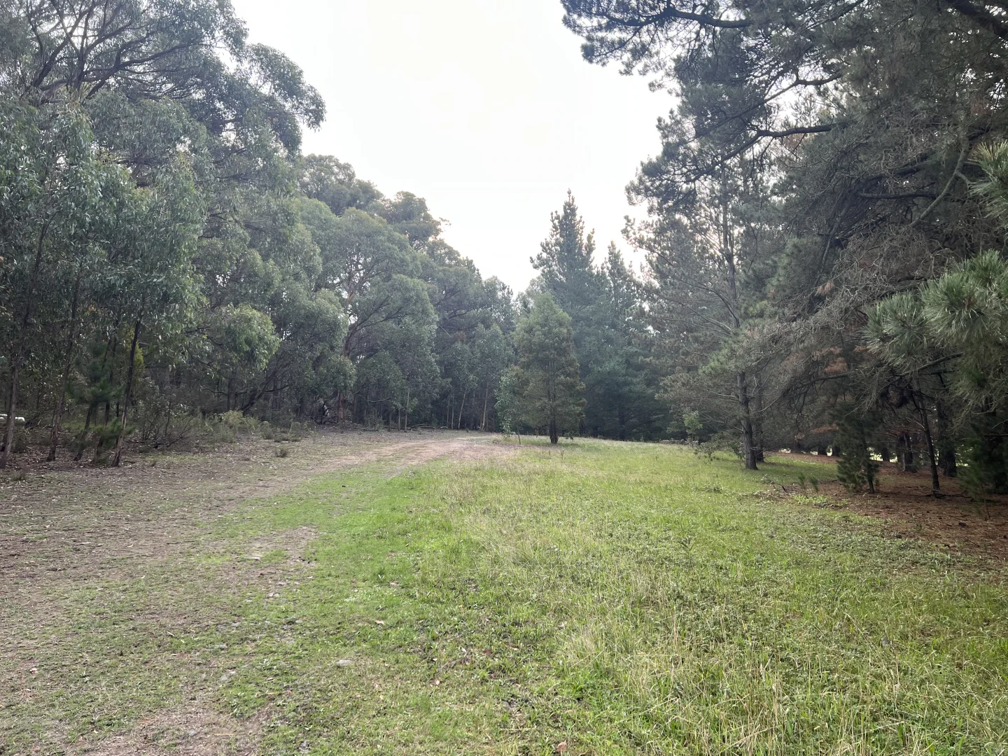 Additional image 4 of Lot 2 Forbes Road, Macedon VIC 3440