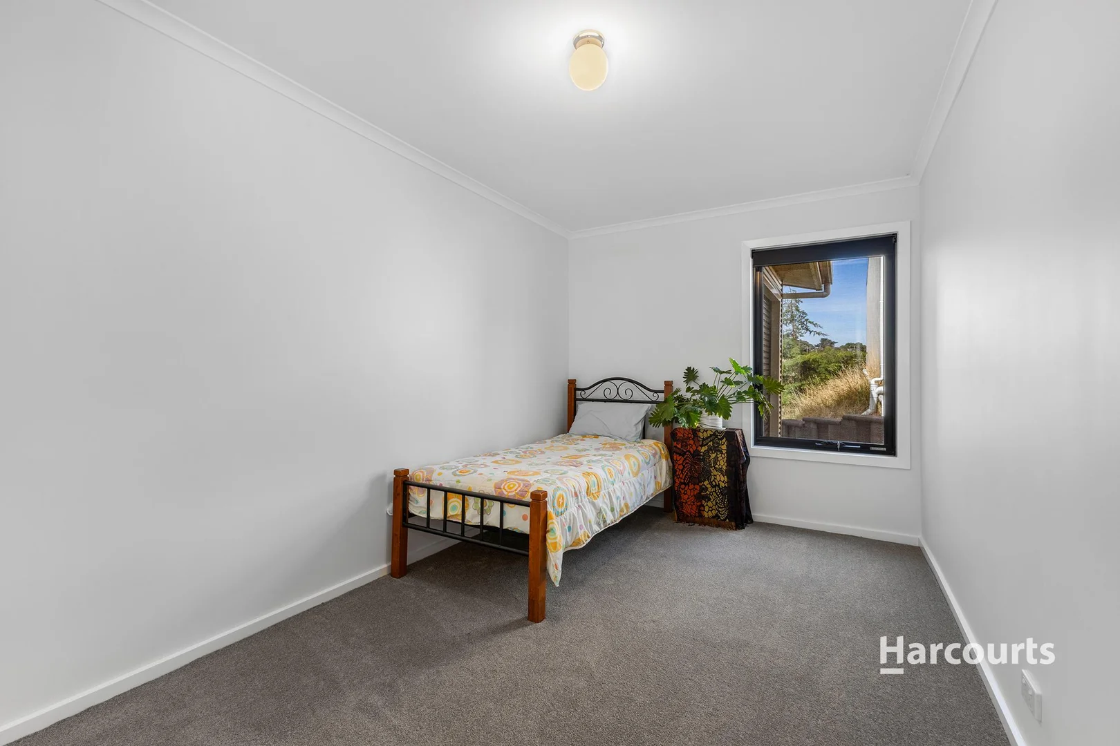 Additional image 19 of 963 Murchison Highway, Elliott TAS 7325