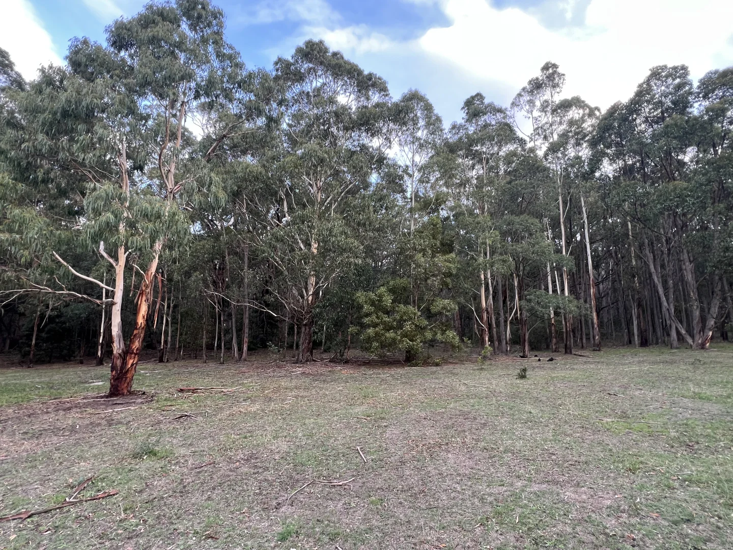 Additional image 8 of Lot 2 Forbes Road, Macedon VIC 3440