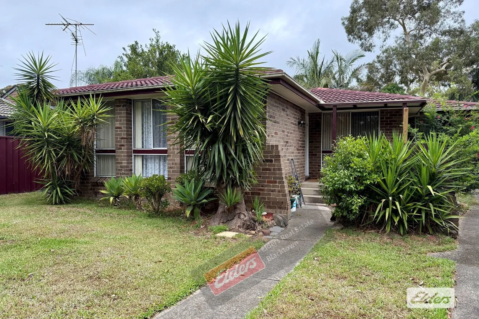 48 Narcissus Avenue, Quakers Hill NSW 2763