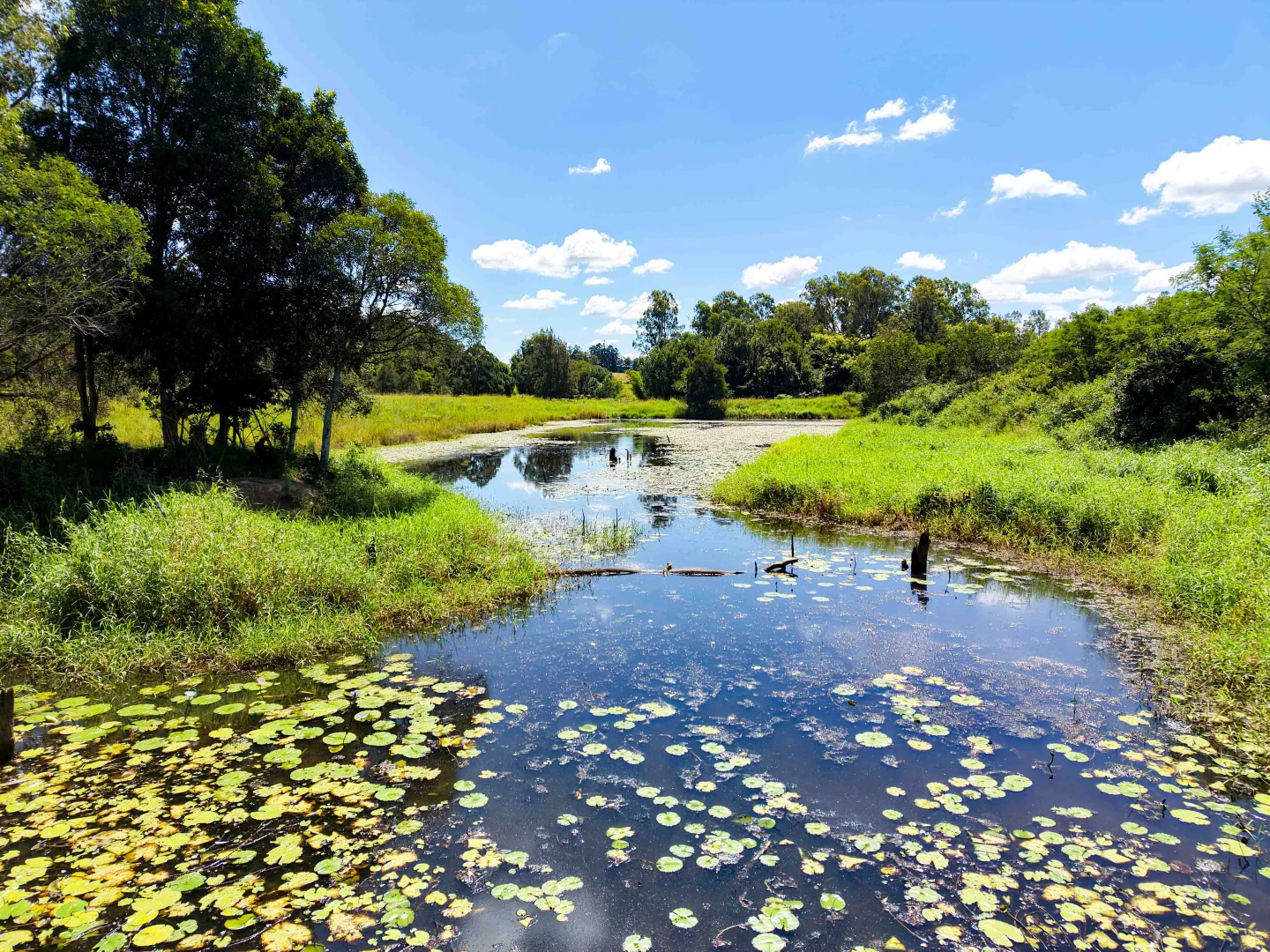 Additional image 19 of 408 Mcintosh Creek Road, McIntosh Creek QLD 4570