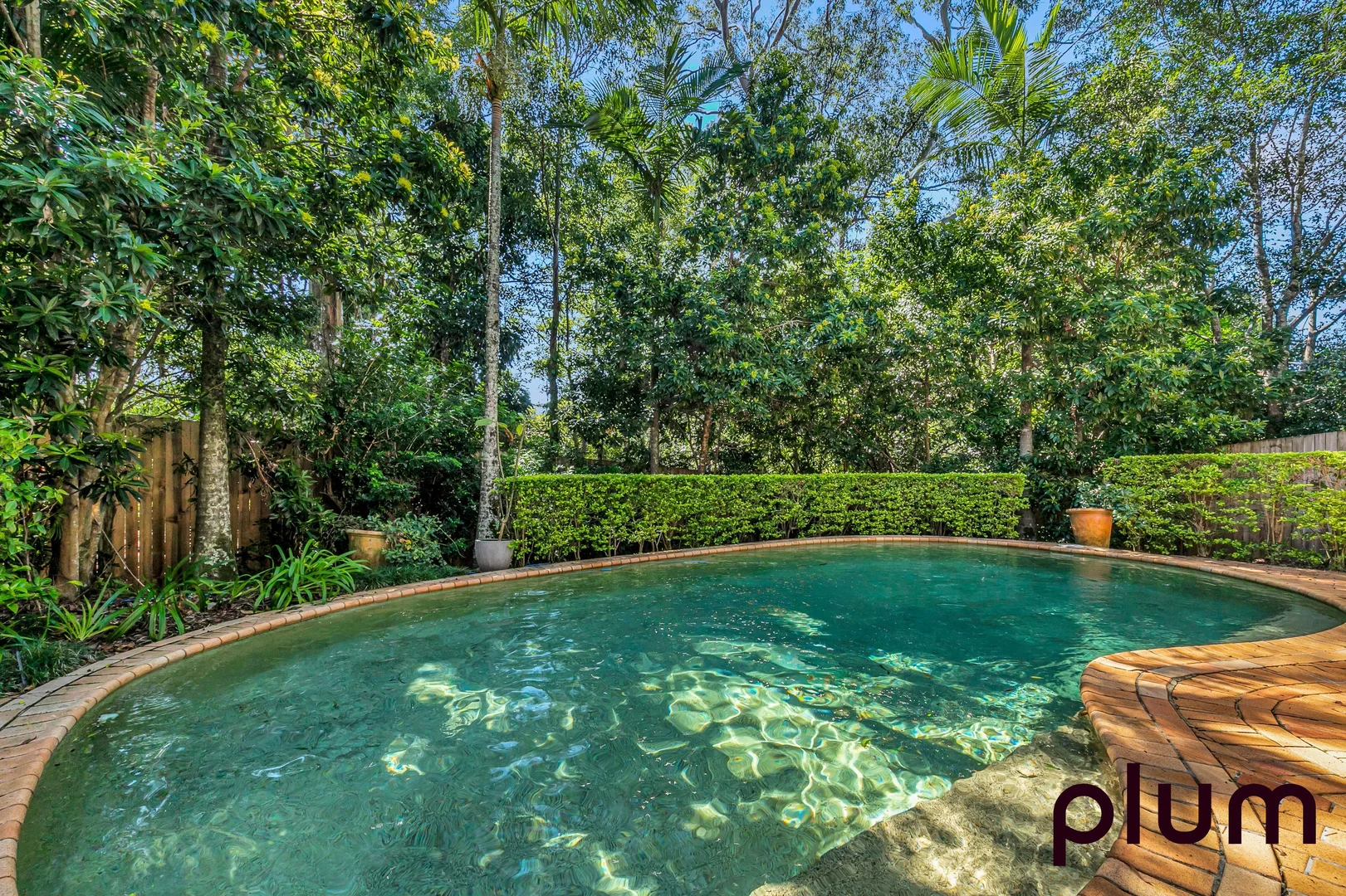 Additional image 11 of 58 Hakea Crescent, Chapel Hill QLD 4069