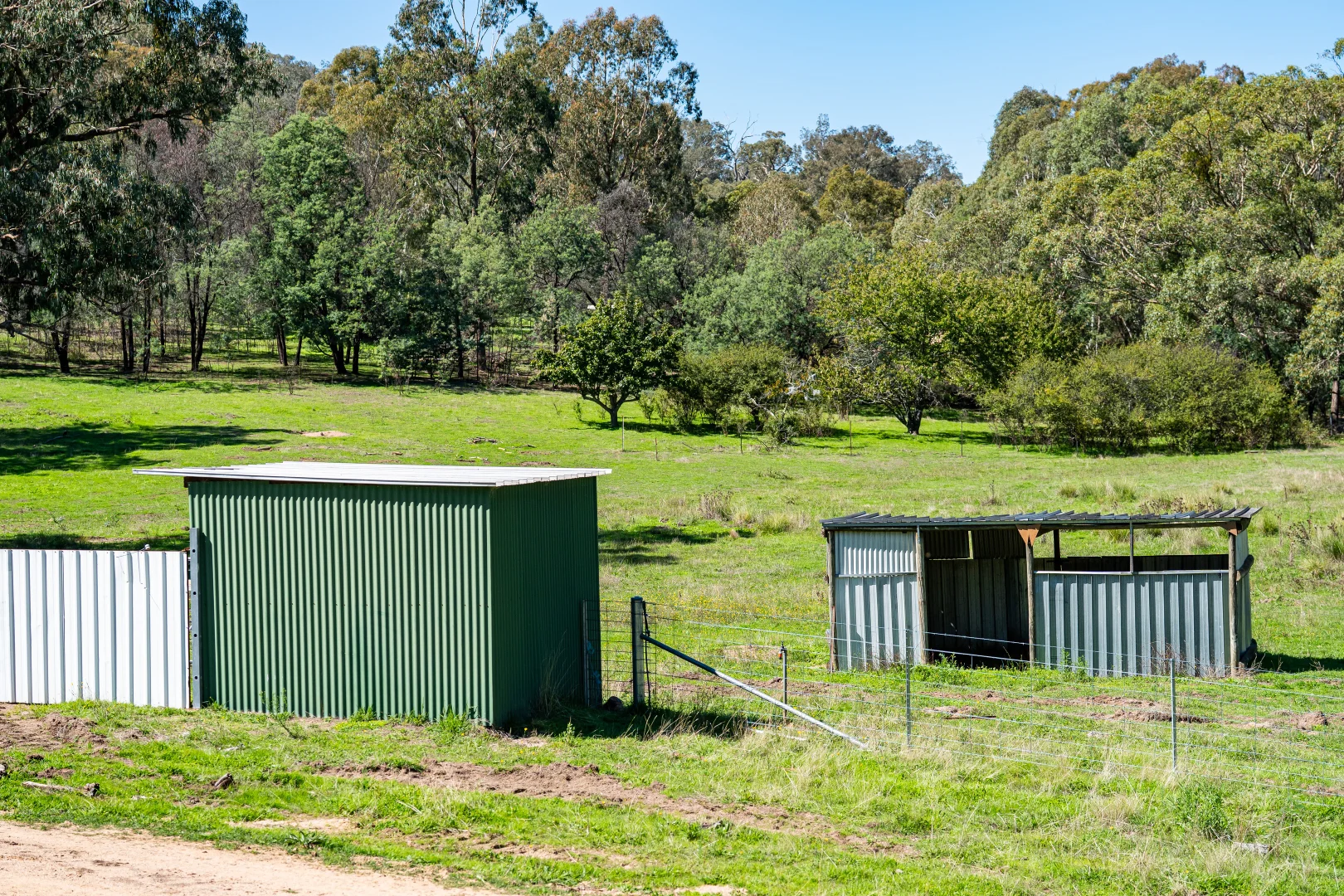 Additional image 21 of 191 Ferndale Road, Woomargama NSW 2644