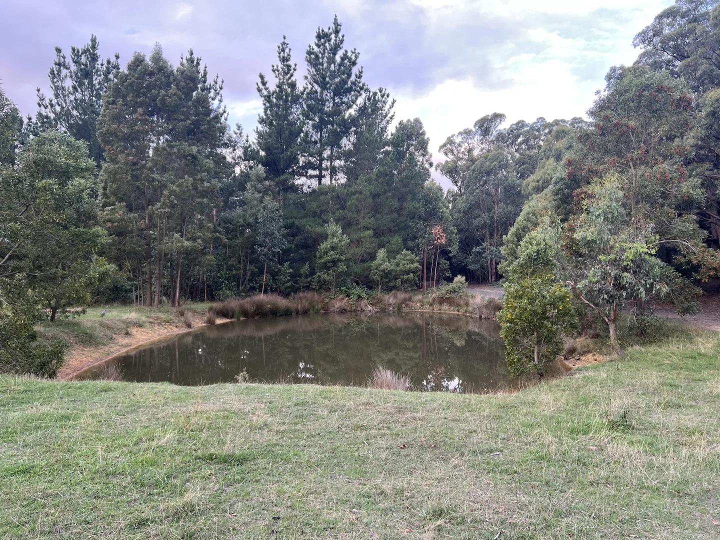 Additional image 6 of Lot 2 Forbes Road, Macedon VIC 3440