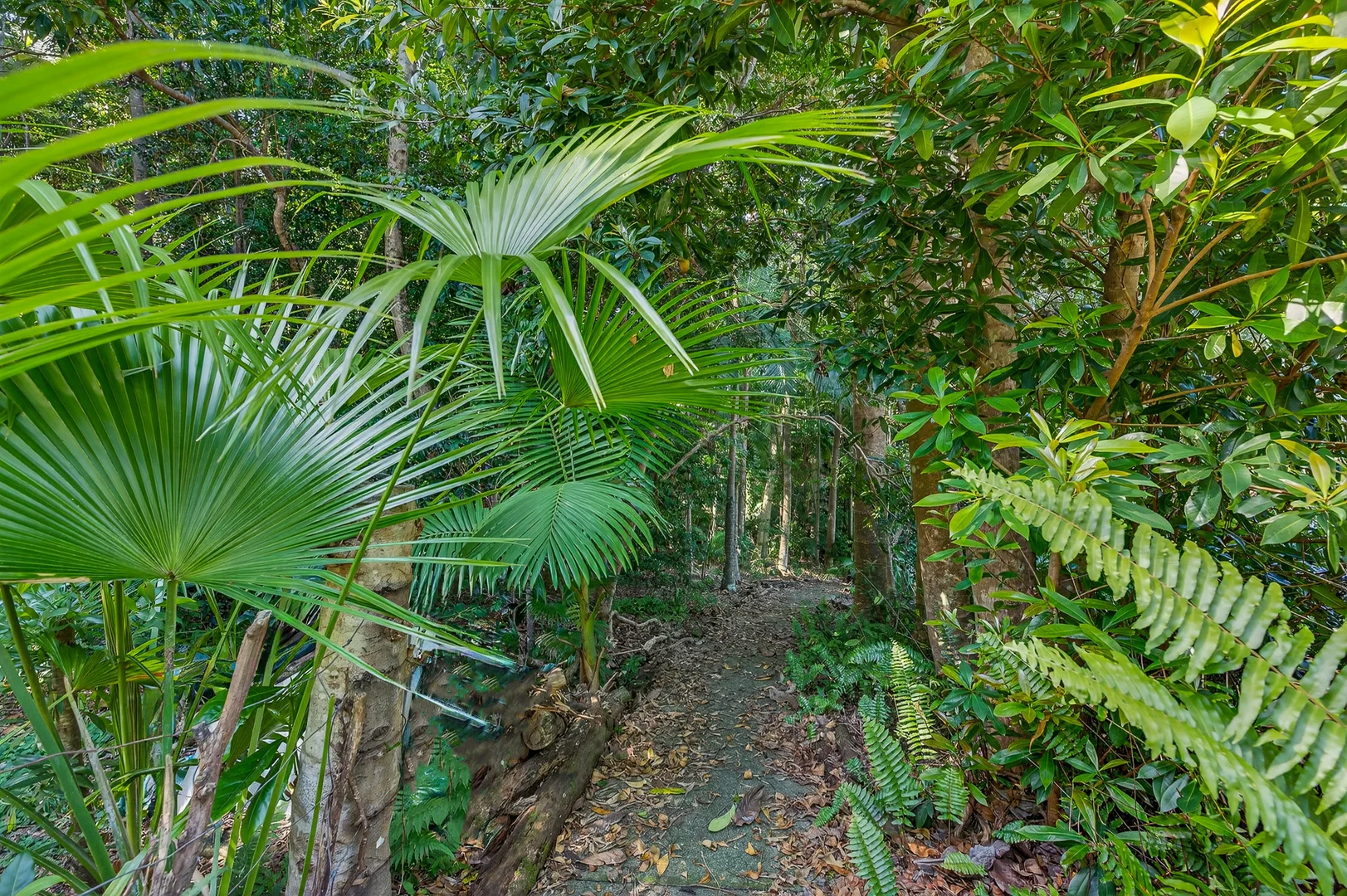 Additional image 28 of 3/83A Rajah Road, Ocean Shores NSW 2483