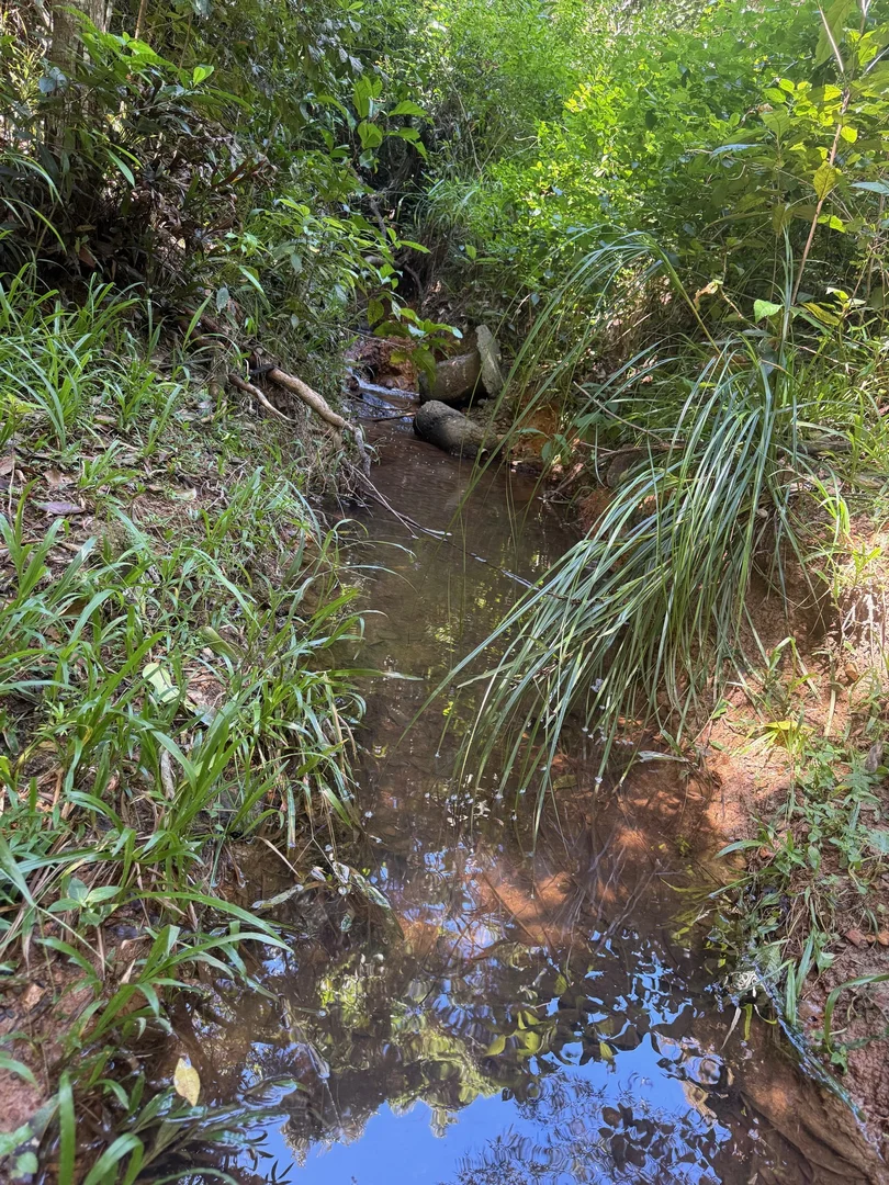 Additional image 2 of 48 Sanctuary Close, Speewah QLD 4881