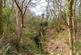Additional image 20 of Magreed Lane, Broad Oak, TN21