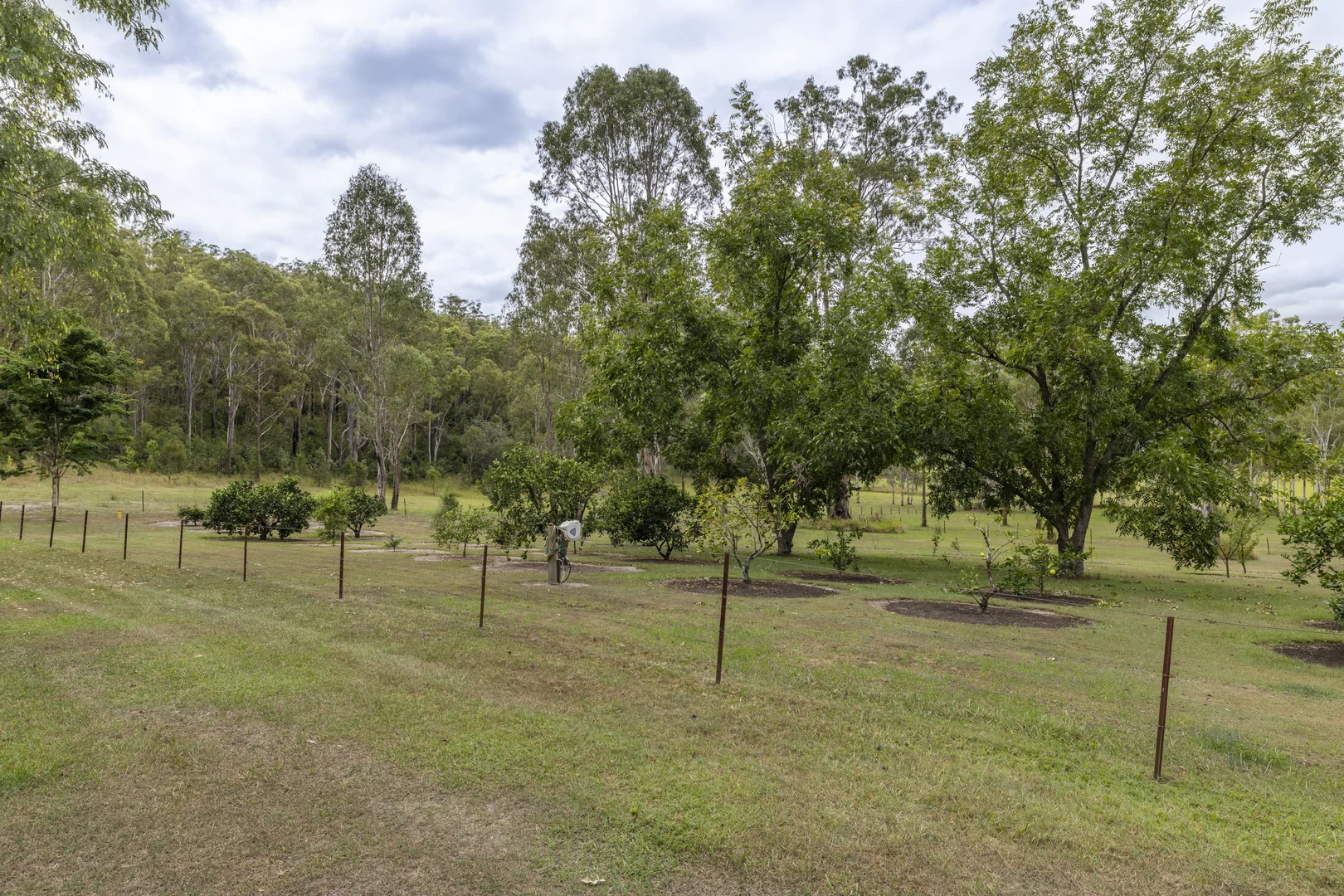 Additional image 34 of 2324 Armidale Road, Blaxlands Creek NSW 2460