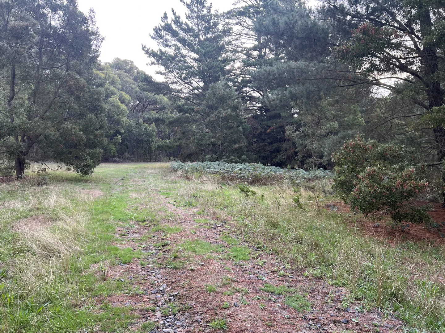 Additional image 3 of Lot 2 Forbes Road, Macedon VIC 3440