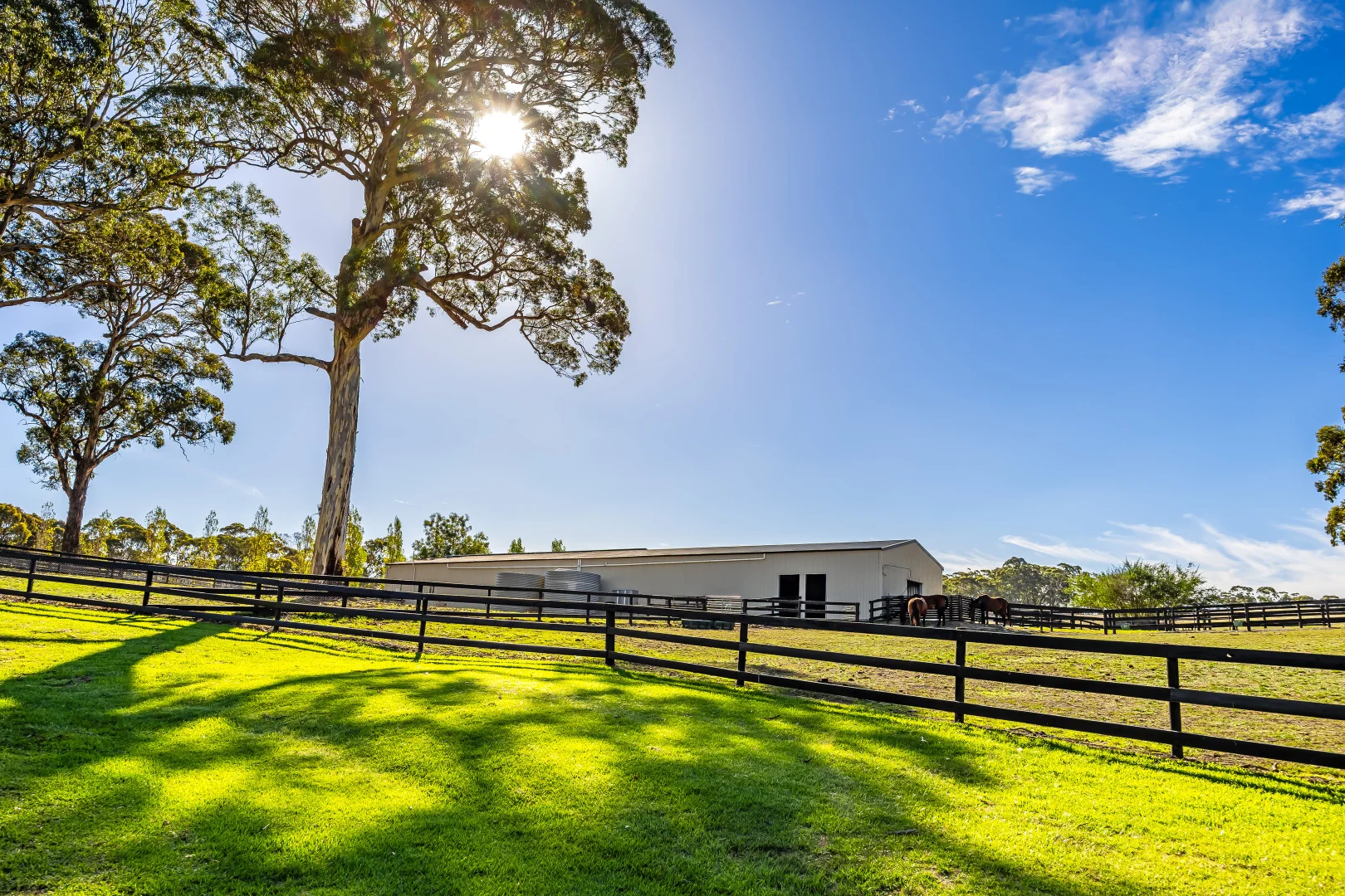 Additional image 55 of 444 Hawthorn Road, Echunga SA 5153