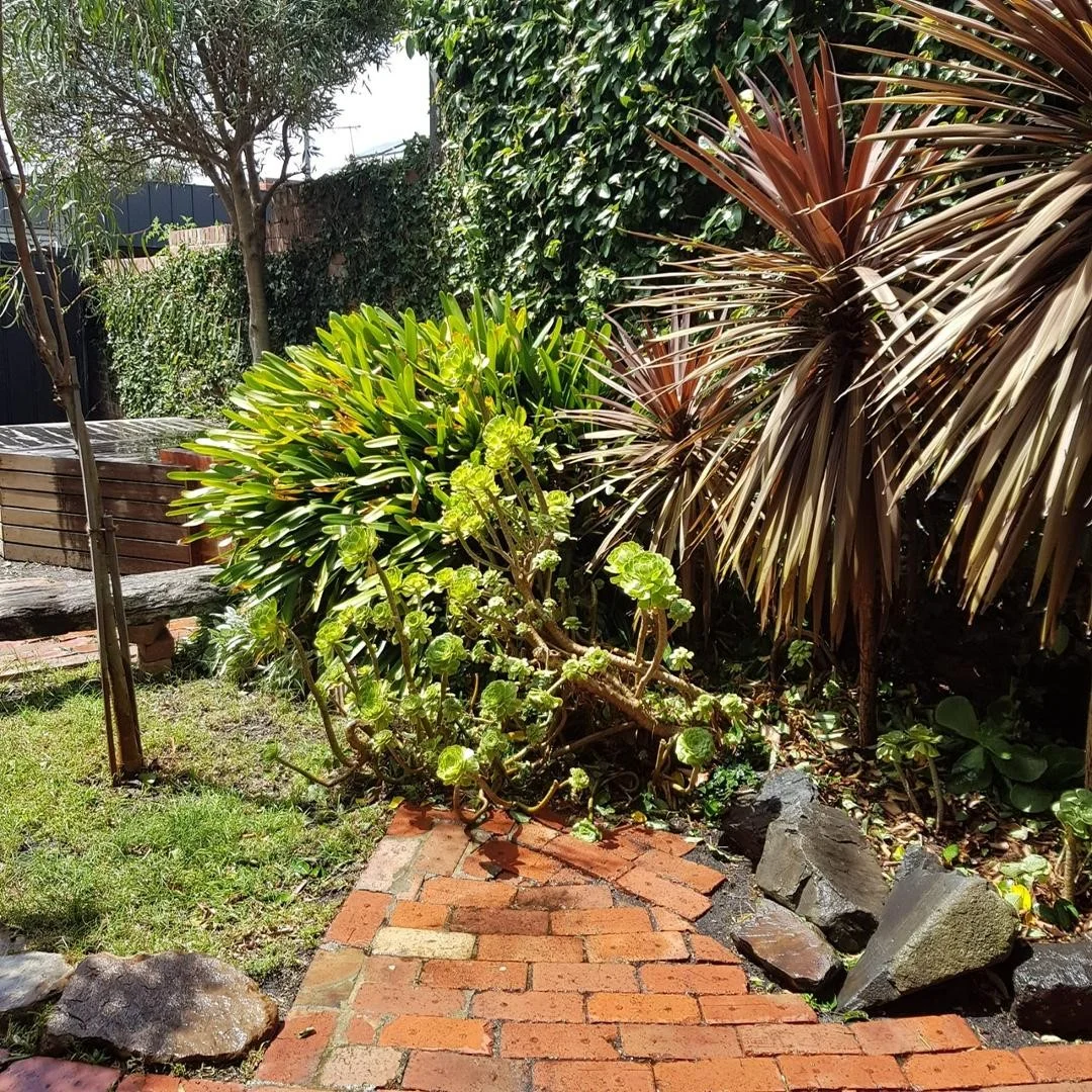 Additional image 13 of 49 Charles Street, Northcote VIC 3070
