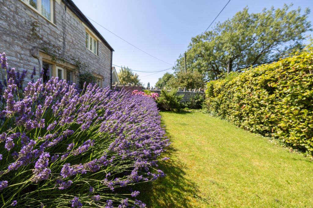 Additional image 3 of Teapot Lane, Baltonsborough, Glastonbury, Somerset, BA6