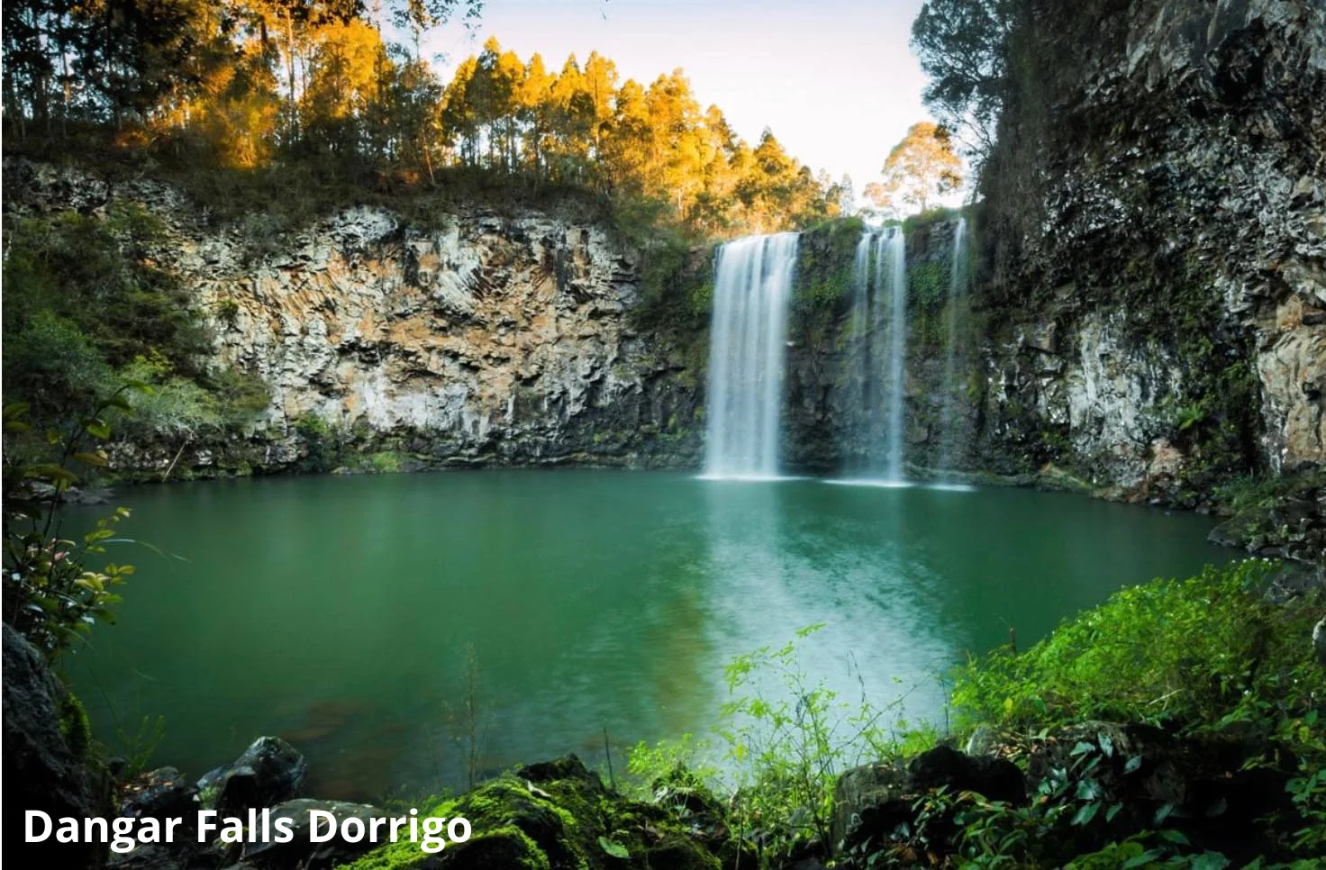 Additional image 16 of 242 Summervilles Road, Bellingen NSW 2454