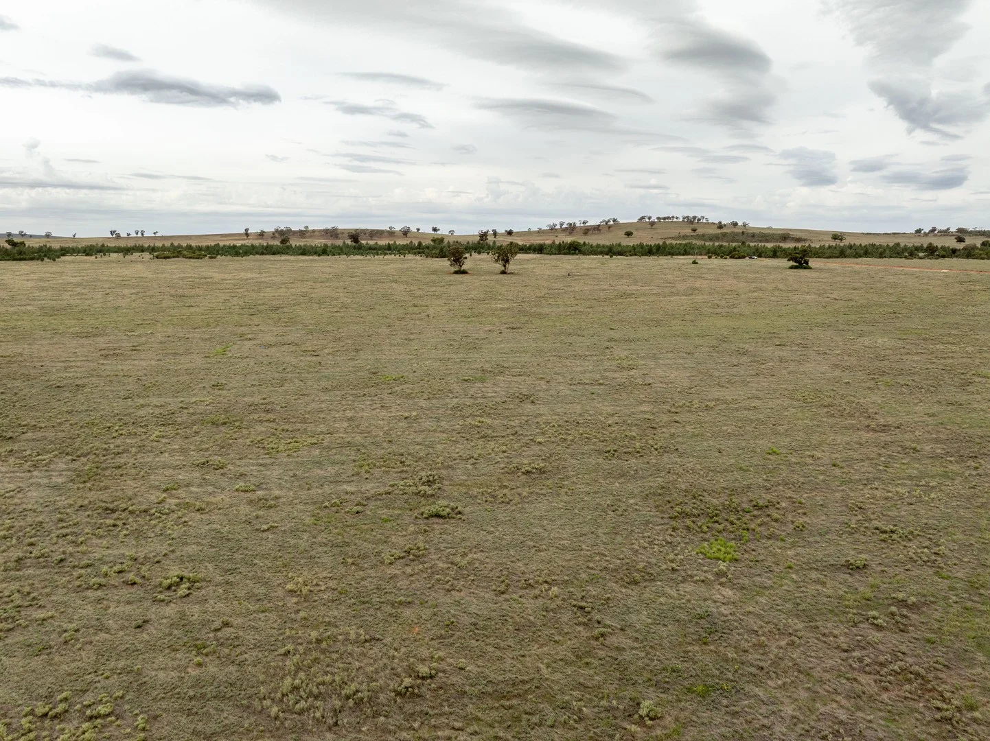 Barellan Road, Narrandera NSW 2700