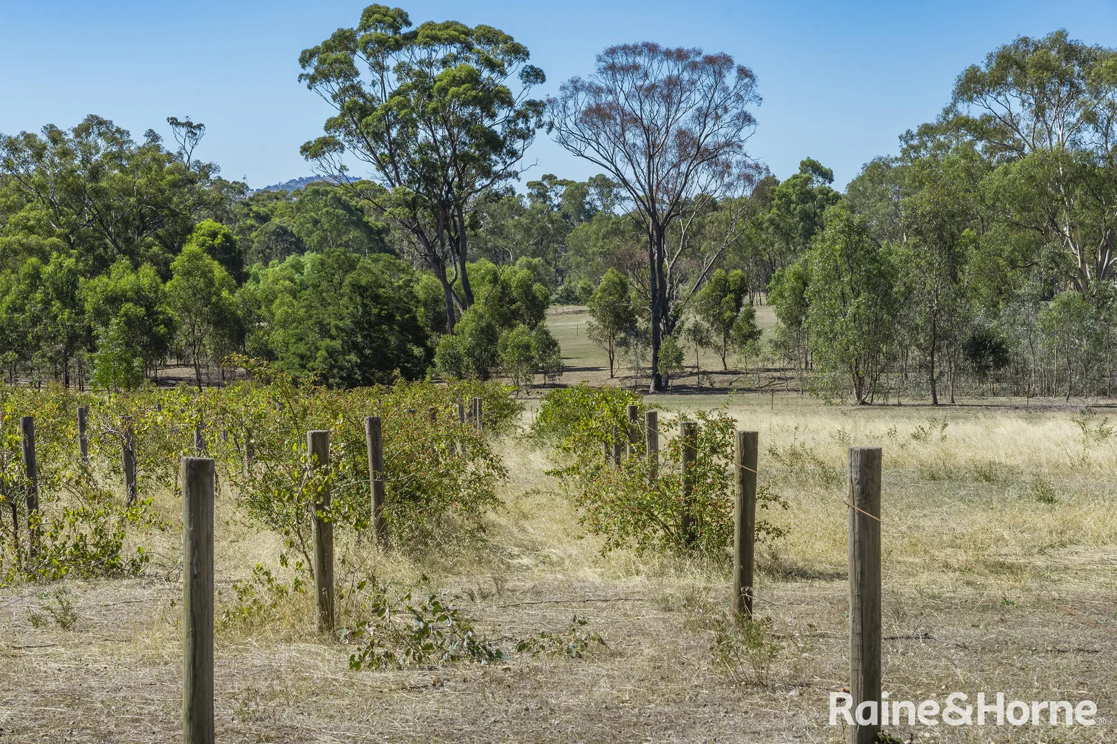 Additional image 35 of 1000 Northern Highway, Ladys Pass VIC 3523