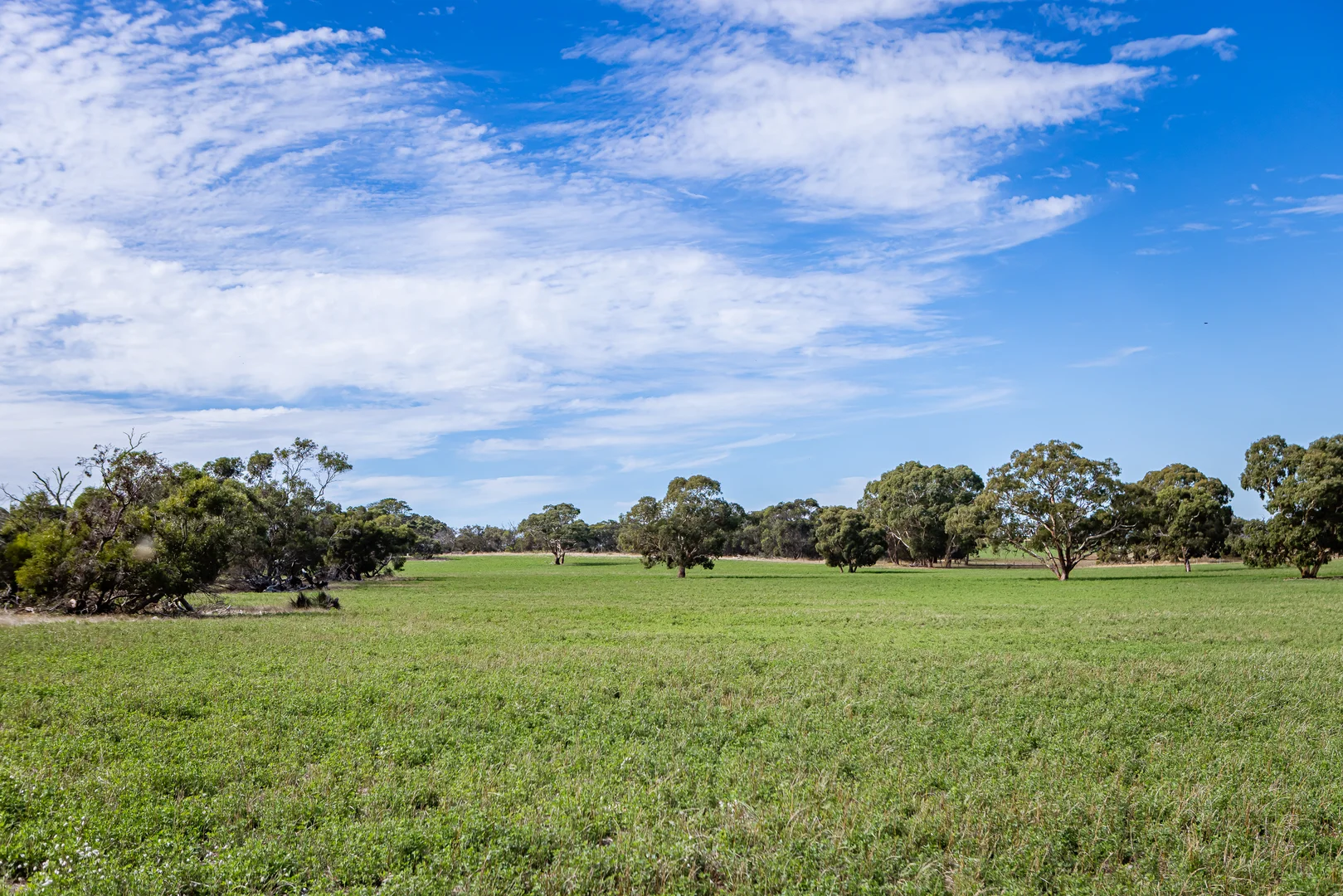 Additional image 9 of 1089 Pedericks Road, Lochaber SA 5271