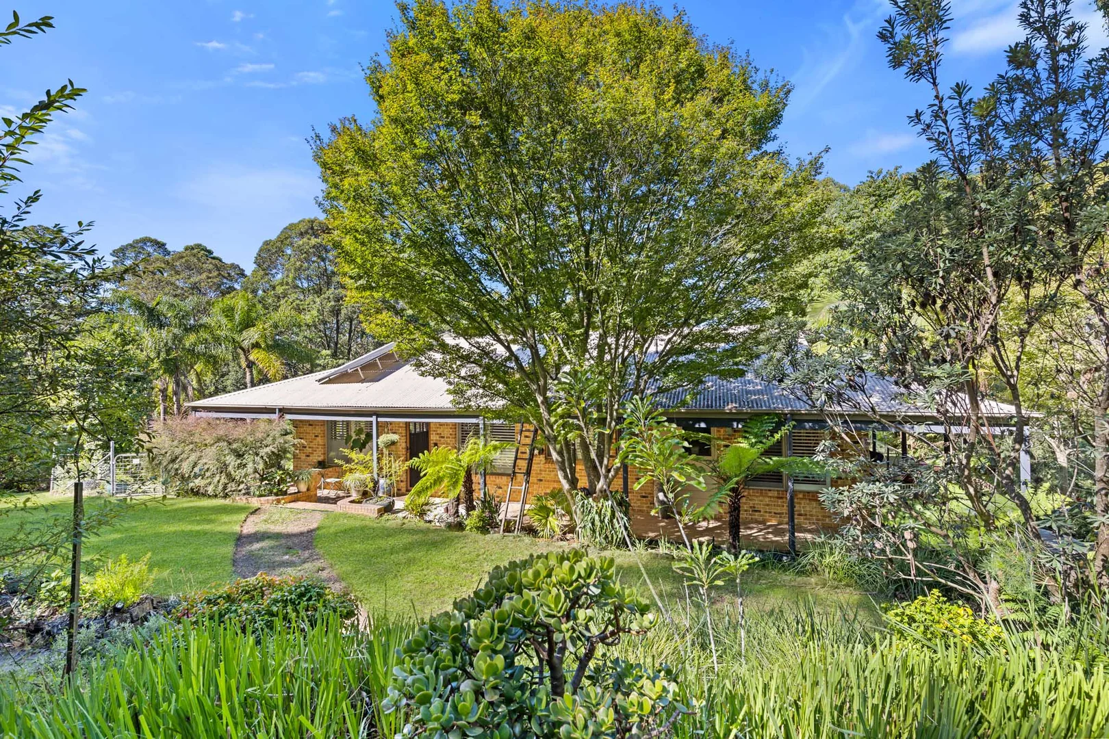Additional image 2 of 321 Woodburn Road, Morton NSW 2538