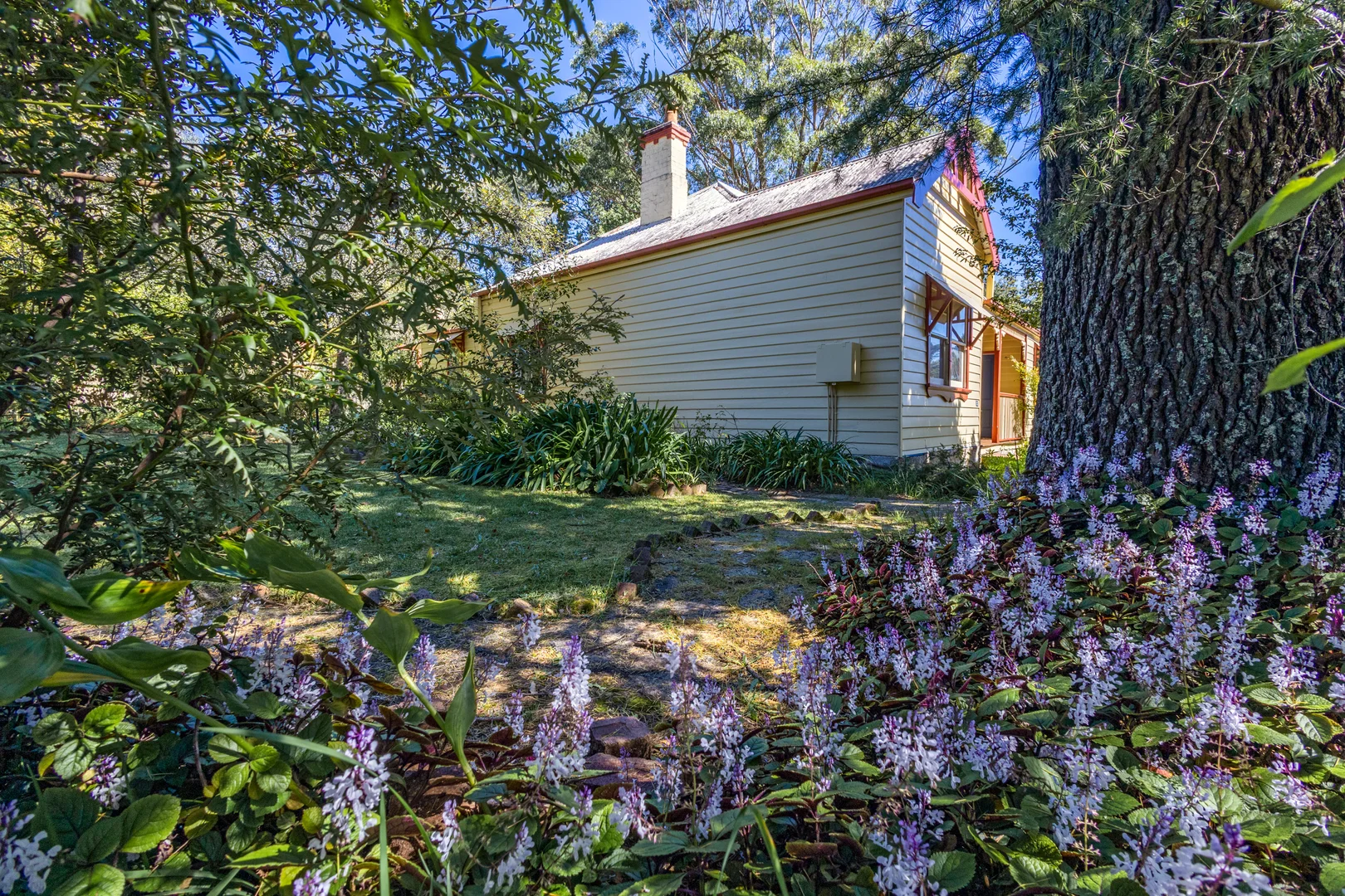 Additional image 16 of 32 Backhouse Street, Wentworth Falls NSW 2782
