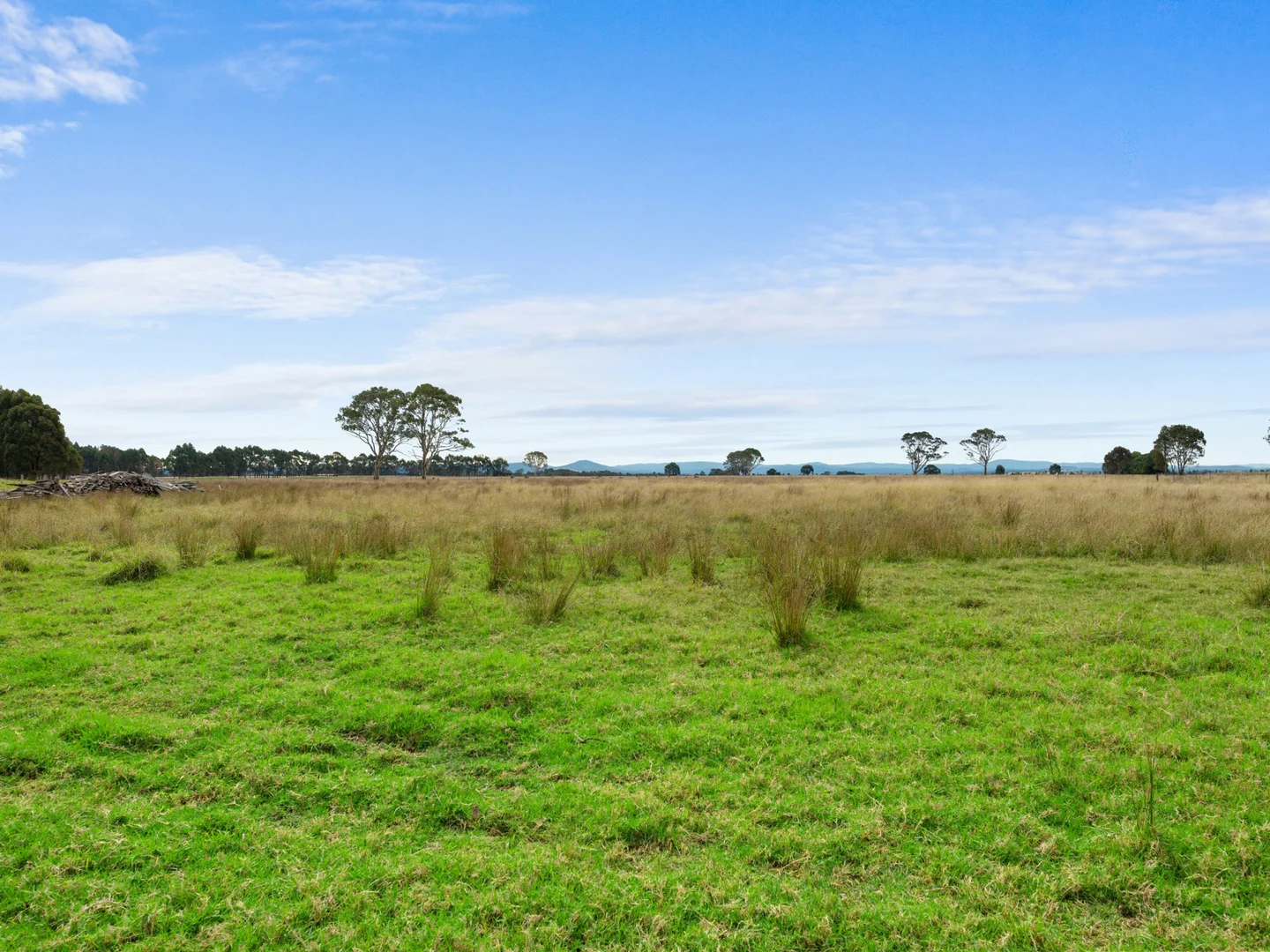 Additional image 18 of 885 Forge Creek Road, Forge Creek VIC 3875