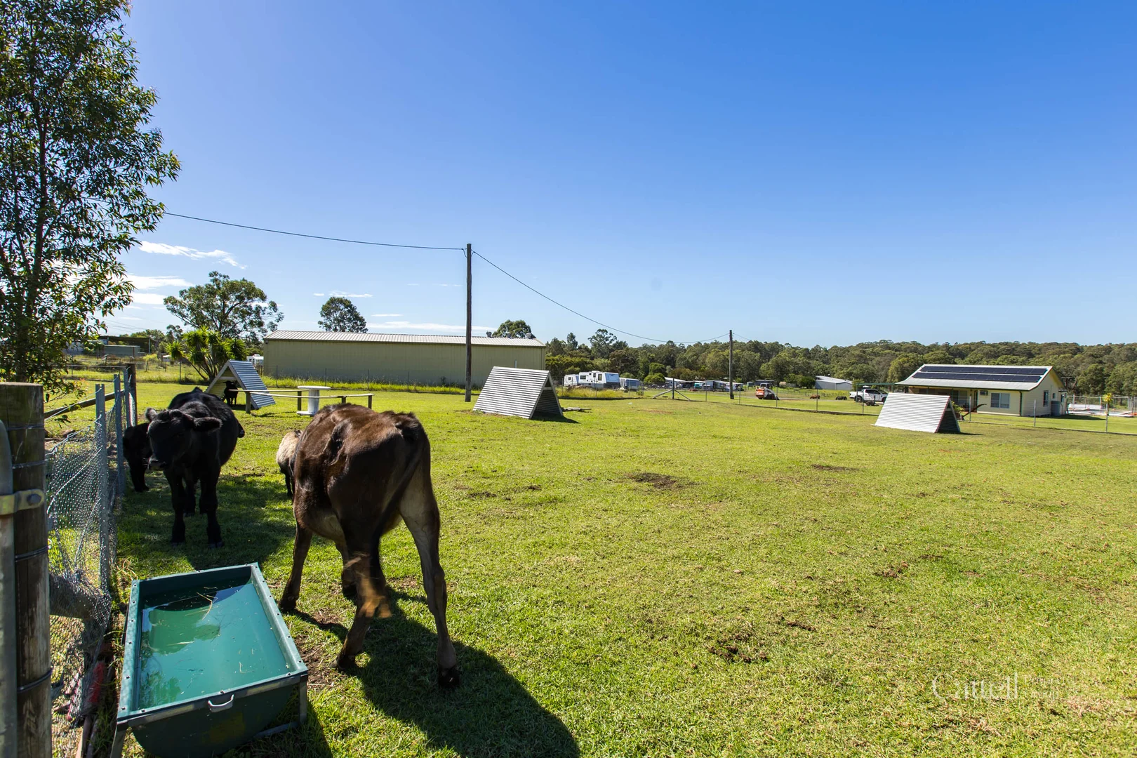 Additional image 37 of 3 York Street, Abermain NSW 2326