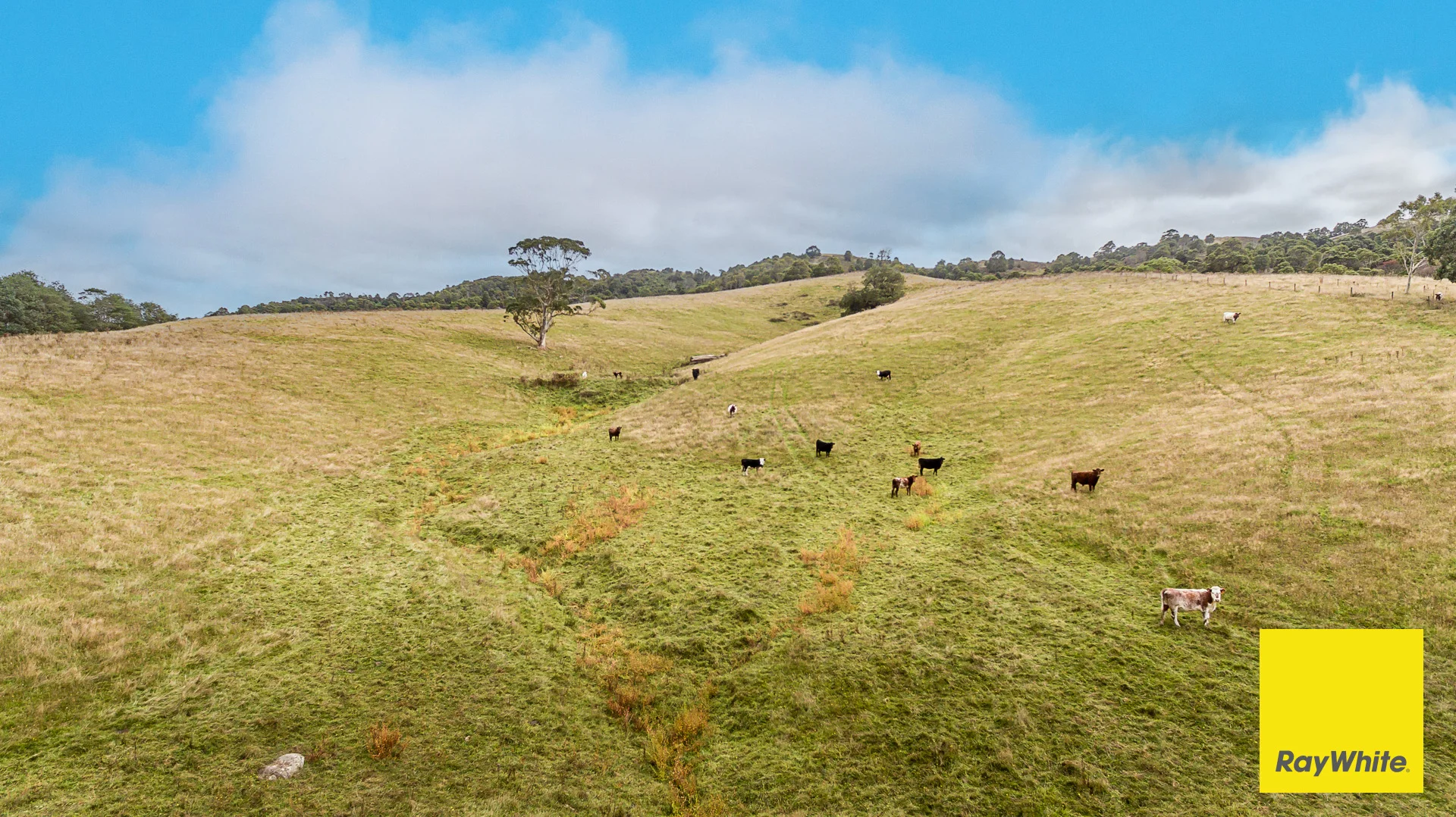 Additional image 2 of . Lamont Drive, Toora VIC 3962