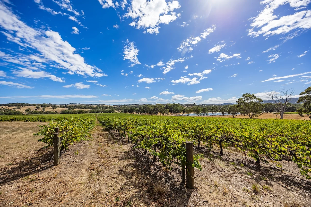 Additional image 4 of 49 Chapel Hill Road, Kangarilla SA 5157