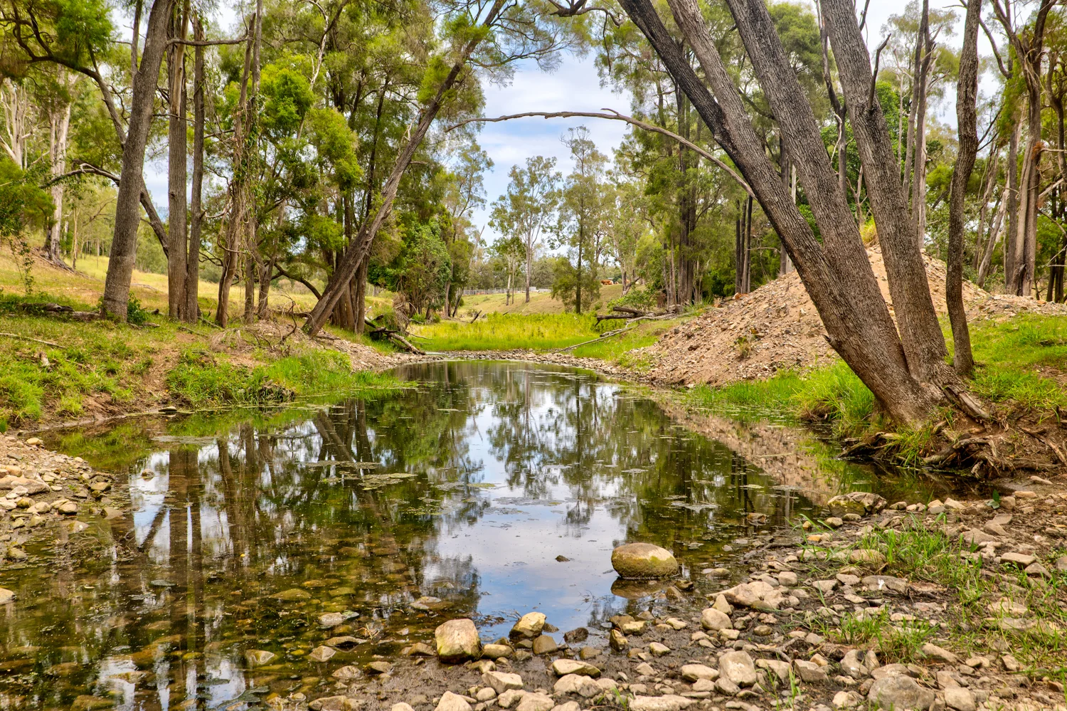 Additional image 20 of 1706 ESK CROWS NEST RD, Biarra QLD 4313