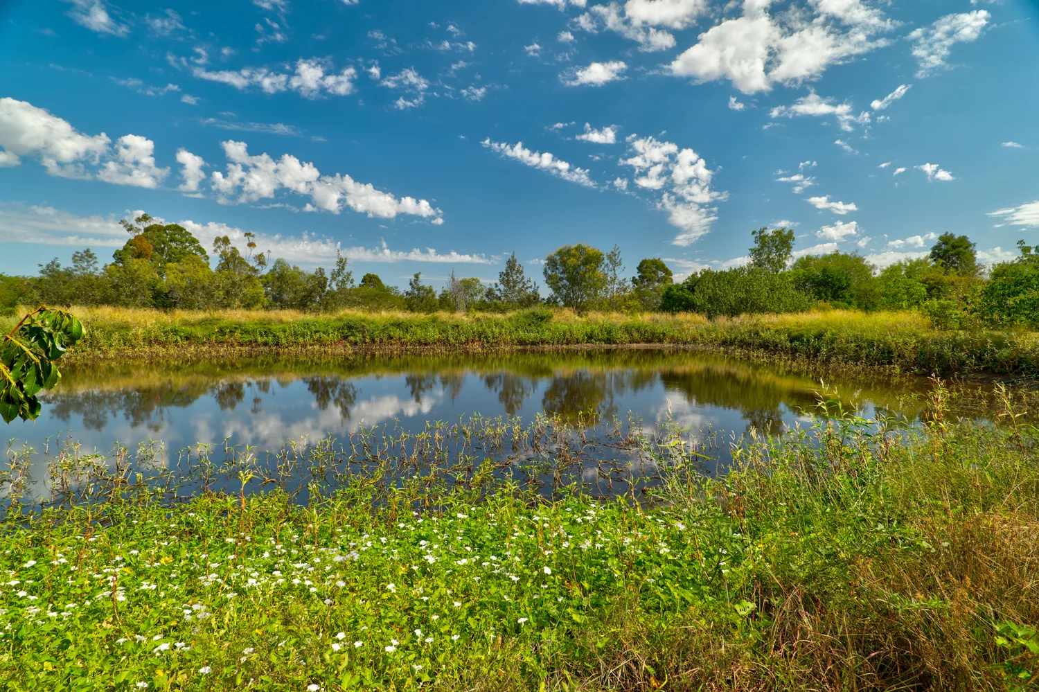 Additional image 5 of 53 West View Cresent, Prenzlau QLD 4311
