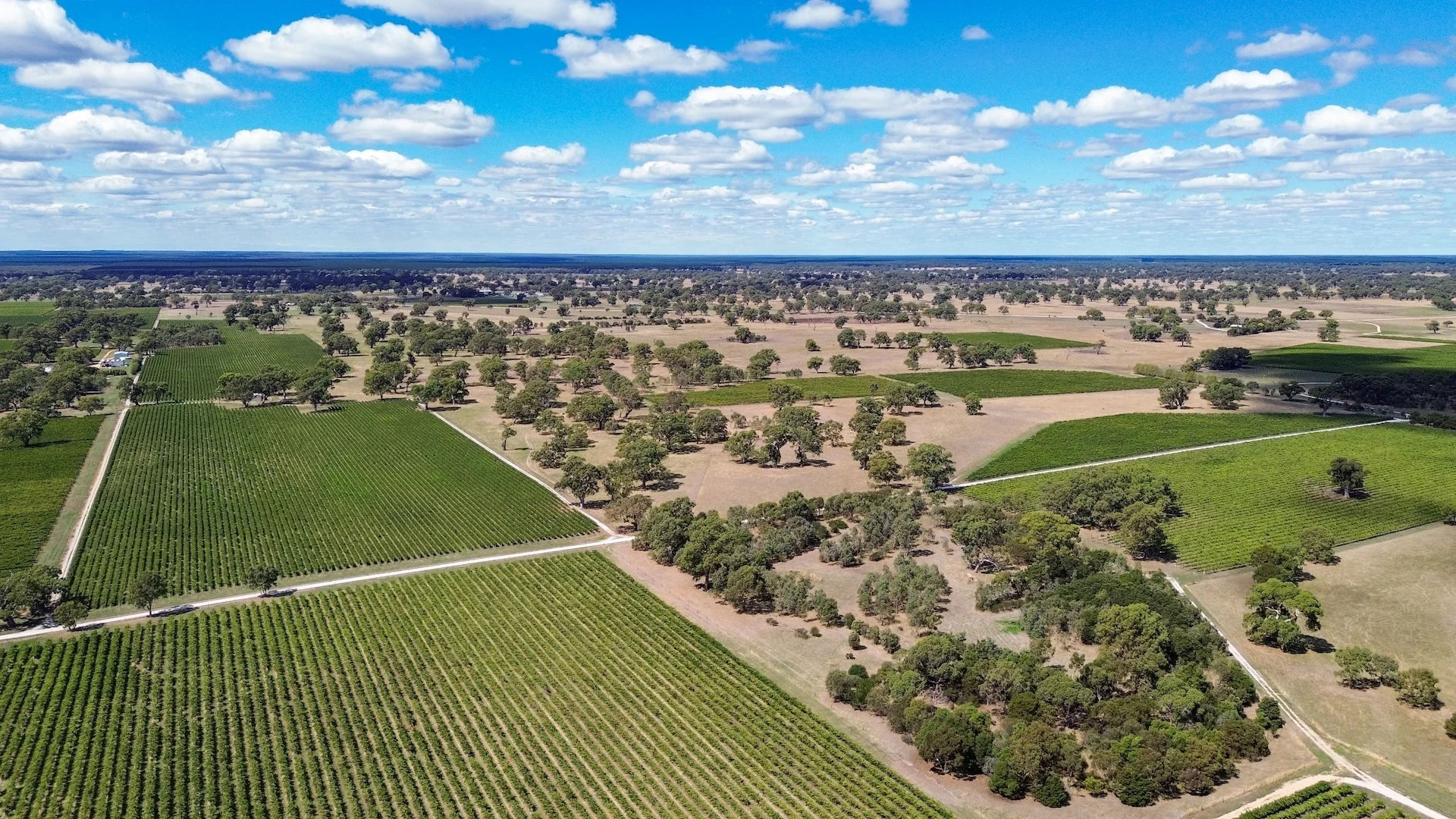 Additional image 3 of V&A Lane, Coonawarra SA 5263