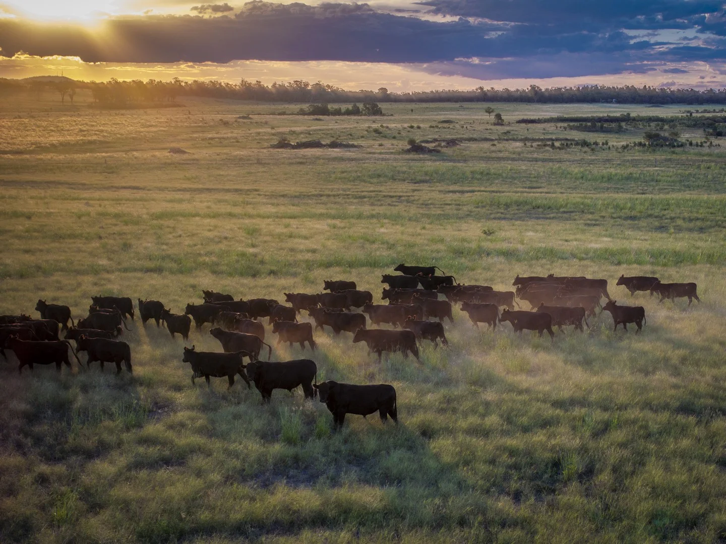 159L Peak Hill Road, Dubbo NSW 2830