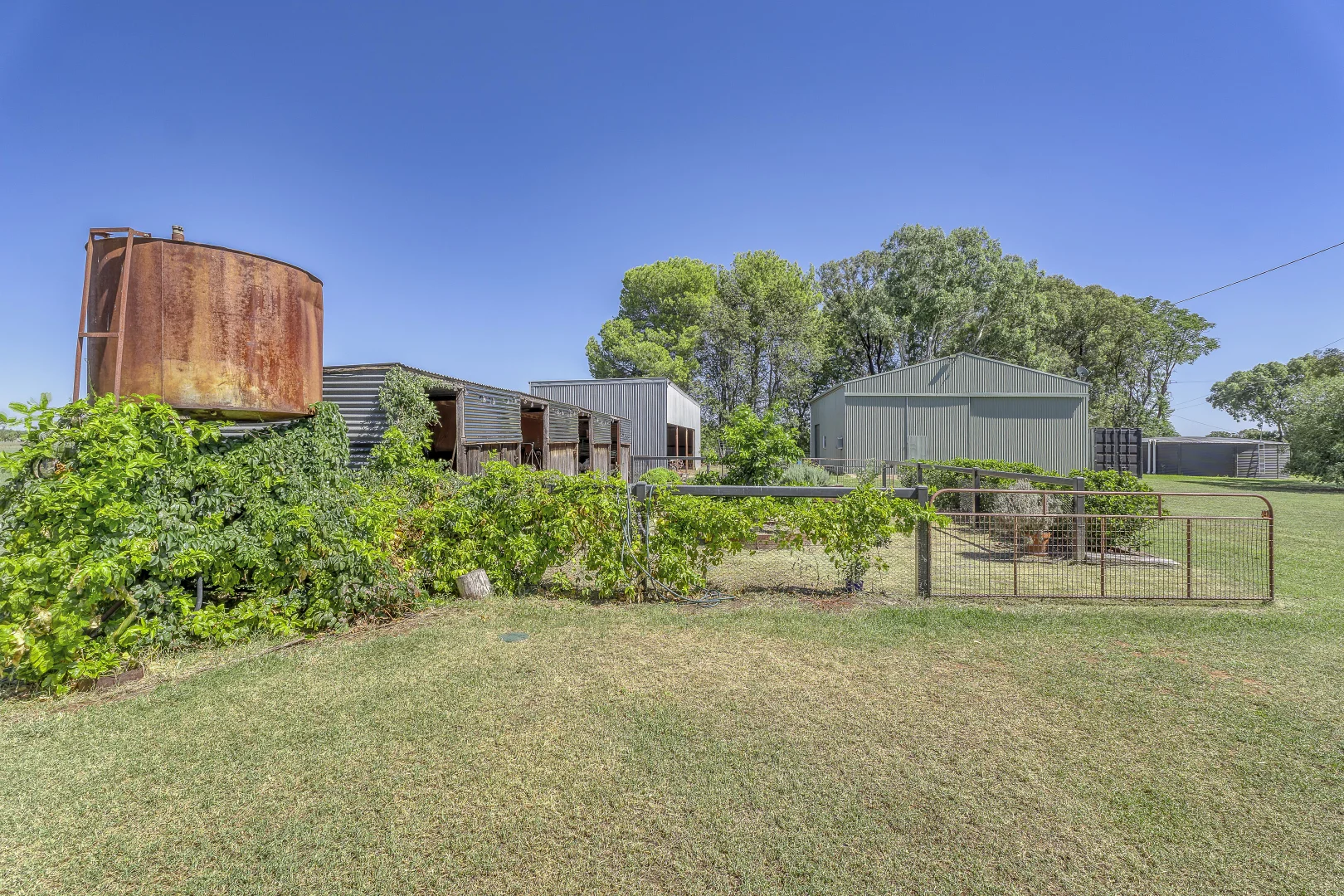 Additional image 22 of 12L Dulcidene Road, Terramungamine NSW 2830