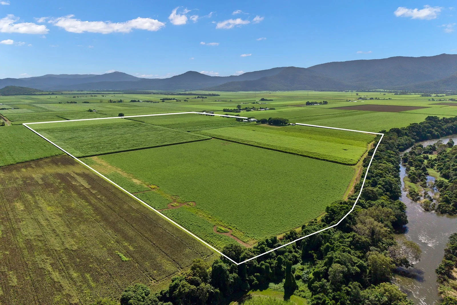 280 Highleigh Road, Gordonvale QLD 4865 photo 2
