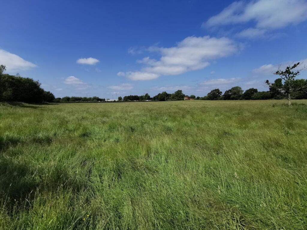 Additional image 6 of Site for 90 dwellings off Lowerside Lane, with outline planning consent, Glastonbury, BA6