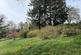 Additional image 44 of Highwood, Ringwood