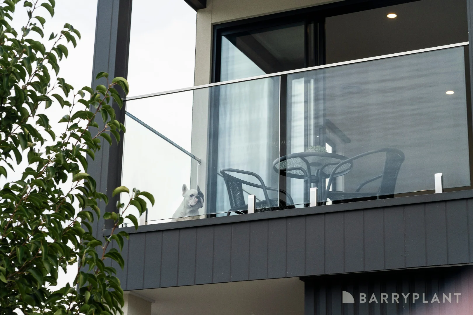 Additional image 16 of 18 Savoy Grove, Cranbourne North VIC 3977